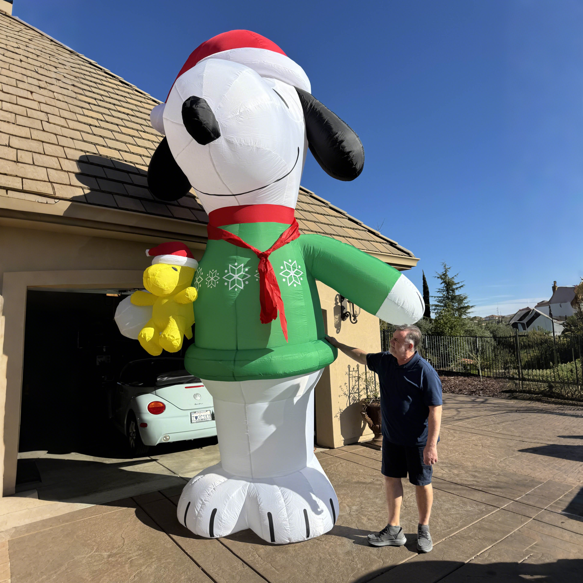 Custom Giant Inflatable - Image 2